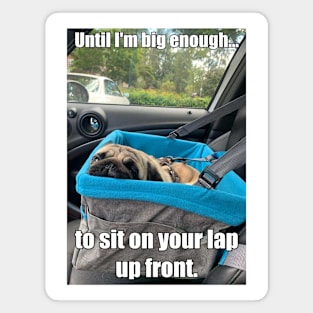 Backseat Driver Magnet